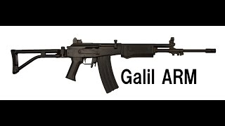 【BFH 実況】実銃解説 ARM Galil