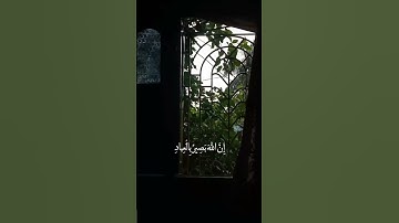 تلاوة خاشعة / وأفوض أمري إلى الله ..الشيخ القارئ : عبدالباسط عبدالصمد ..#قرآن #القرآن_الكريم #تلاوات