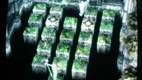 Zelda Twilight Princess -- Master Sword Puzzle