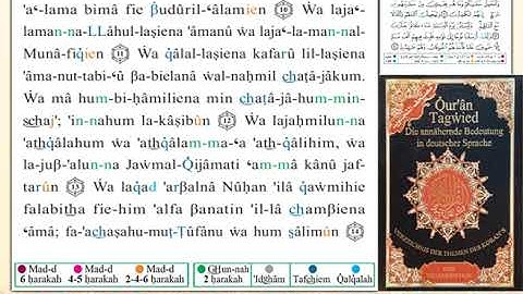 ختمة من مصحف التجويد باللغة الألمانية الصفحة رقم 397