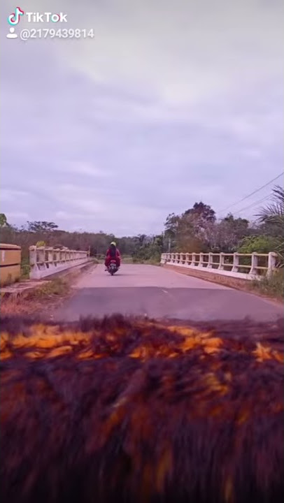 Video Tik Tok story wa sedih