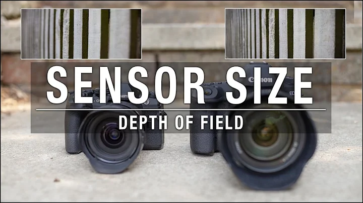 Does Sensor Size Affect Depth of Field - The Definitive Answer