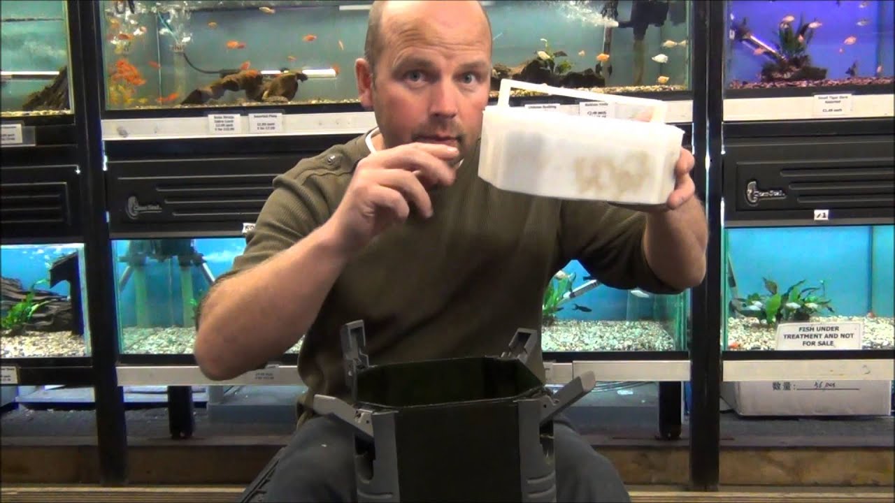Canister Filter Petco Canister Filter Petco
