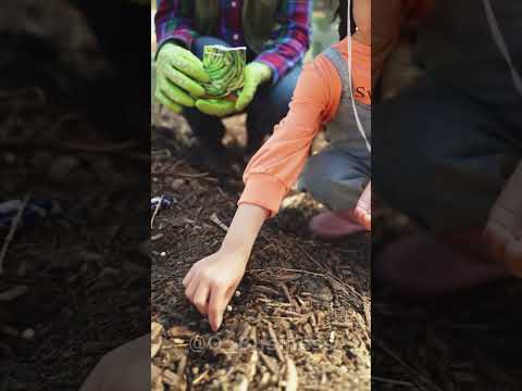 КАК ОБЫЧНЫЙ ПАРЕНЬ СТАЛ МИЛЛИАРДЕРОМ!? #shorts