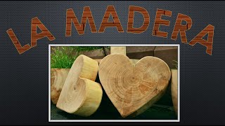 TODO SOBRE LA MADERA: Definición, Composición, tipos de maderas y sus capas. TODO SOBRE LA MADERA: Definición, Composición, tipos de maderas y sus capas.