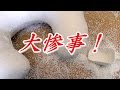 クッションにパウダービーズを補充していたら大惨事になってしまった・・。