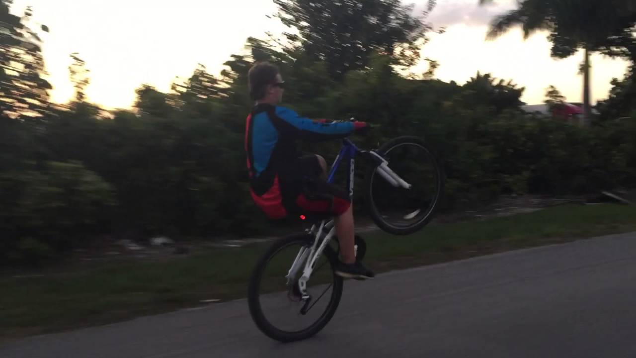 pedal bike life