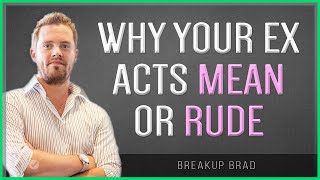 Why Your Ex Is Acting Mean or Rude Towards You