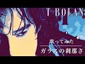 【歌ってみた】T-BOLAN ガラスの刹那さ