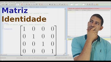 Lógica de Programação - Matriz Identidade