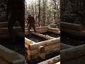 Building a log cabin sauna alone with hand tools