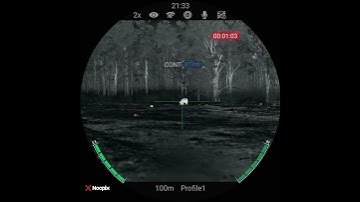 Feeding boar.  Nocpix Ace S60R LRF