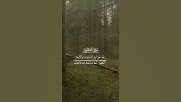 تلاوة ما تيسر من سورة المنافقون | الشيخ أبو حذيفة أبو ناموس