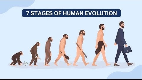 Pearl Jam - Do the Evolution (Official HD Video)#evolution #youtube #trending