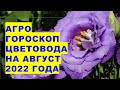 Агрогороскоп цветовода на август 2022 года