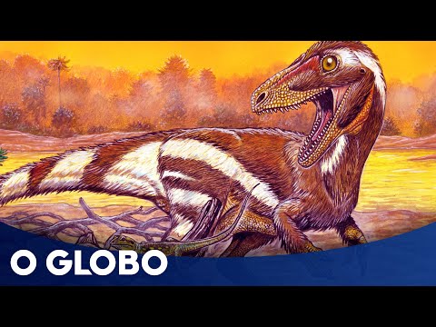 Vídeo: Um Cogumelo Da época Dos Dinossauros Foi Encontrado No Brasil - Visão Alternativa