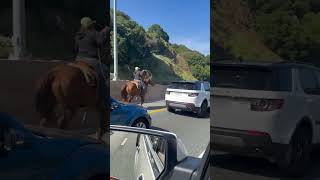 Cowgirl Seen Riding Horse on California Highway