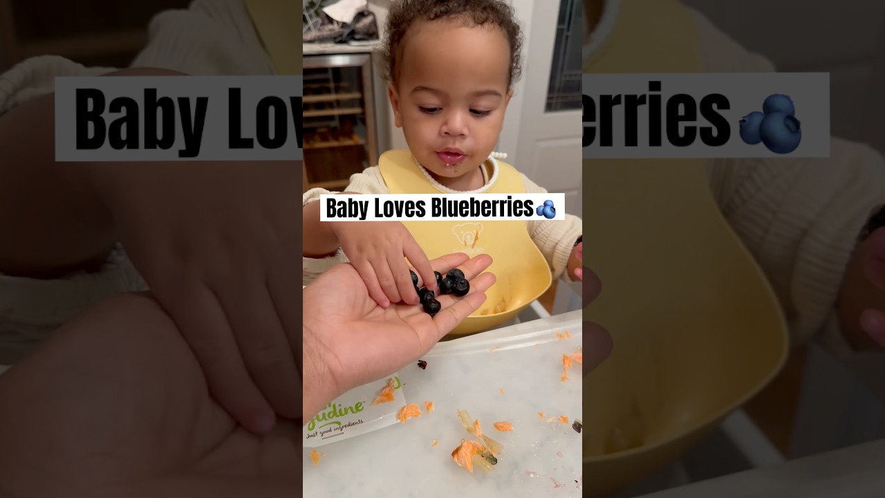 Baby eating blueberries 🫐 