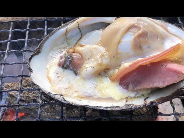 七輪でホッキ貝バター醤油焼き アウトドア 海鮮料理 Youtube