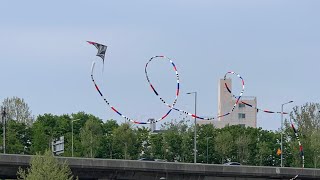 너무 잘 날아서 이상한 연과 처음 본 한강의 해변