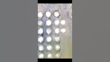 iPhone 6 no service baseband #iphone #mobilesolution #viral