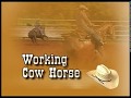 working cow horse