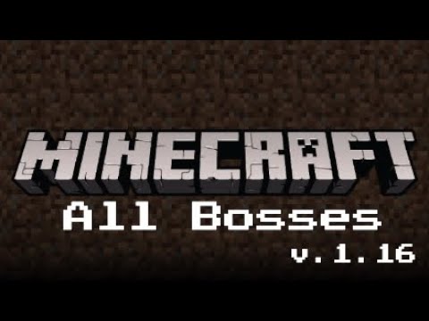 Minecraft All Bosses and Ending (V.1.16) - YouTube