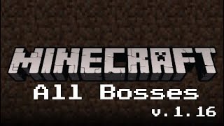 Minecraft All Bosses and Ending (V.1.16)