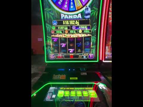 🔥 HIGH STAKES CASINO WIN – $160,000 RECORD JACKPOT!