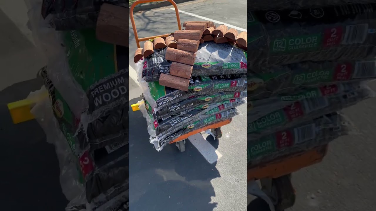 Landscaping on a side slope on a budget.