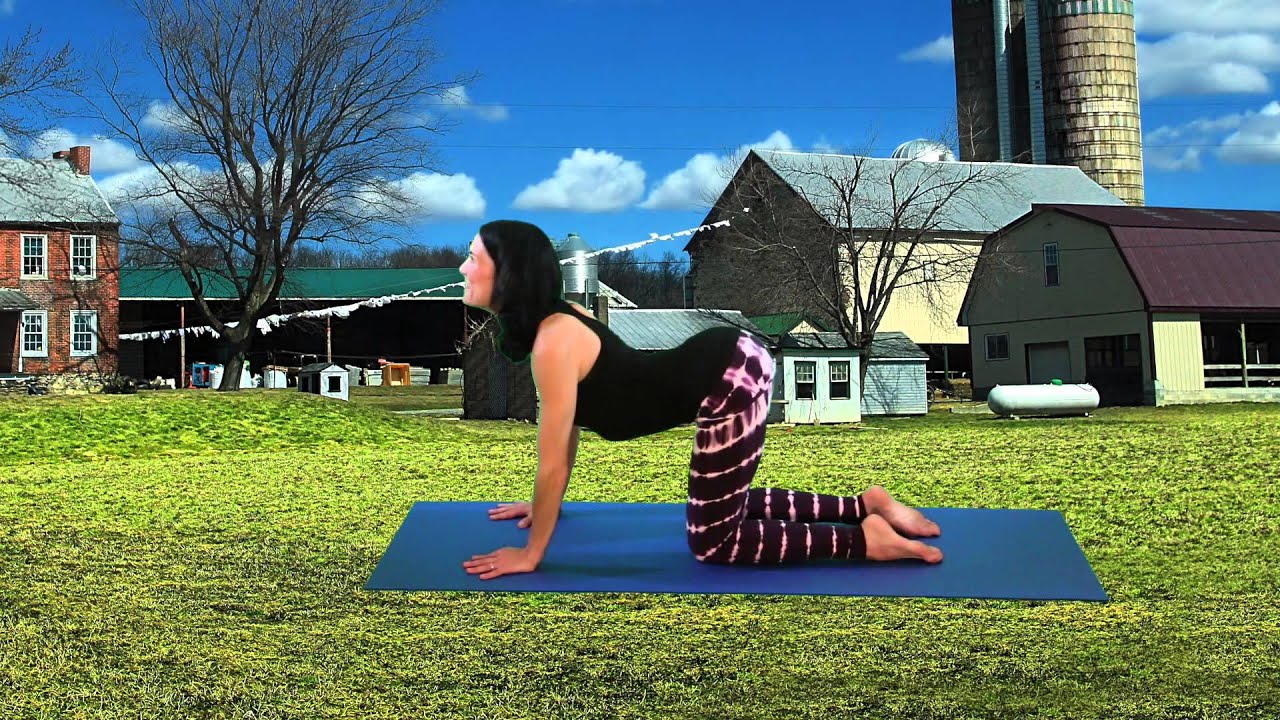 Yoga with Danielle Rae: Cat & Cow Pose