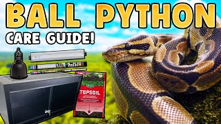 Ball Python Care Guide: Beginners Guide!