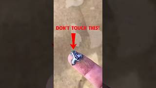 DON'T TOUCH THIS! ⛔ The Blue Sea Dragon🌊