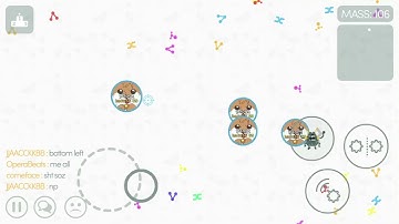 Mitosis - I suck at split party :)