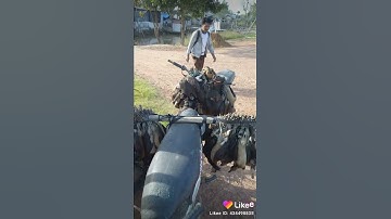 suara pikat belibis sangat ampuh terbukti hasilnya