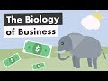 The Biology of Business