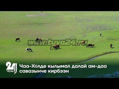 Чаа-Хөлде кылымал далай