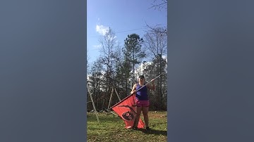 Stir toss Video (2/2)