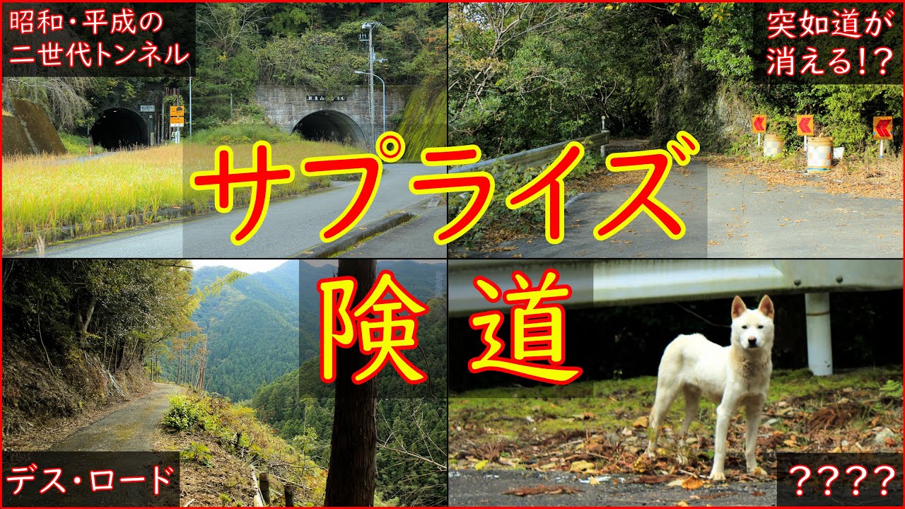 【険道♦/突然道が蒸発!?ガチでサプライズが多すぎる県道】徳島県道35号 阿南相生線【激狭道・野生動物？】