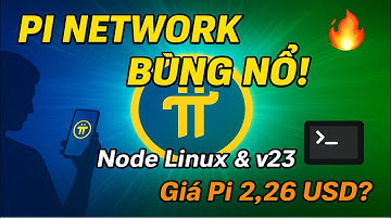 🔥GROTE UPDATE van Pi Network: Node Linux & v23 – Het geheim achter de Pi Coin-prijs van 2025!