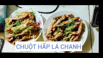 Lần Đầu Trải Nghiệm Bắt Chuột Đồng Mùa Gặt Và Thưởng Thức Món Chuột Hấp Lá Chanh | Hải Dương Quê Tôi