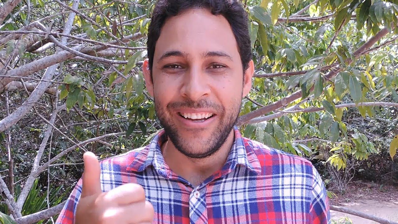 probioticos para que serve EXAME E OS RESULTADOS DA SUPLEMENTAÇÃO E ALIMENTAÇÃO ORGÂNICA