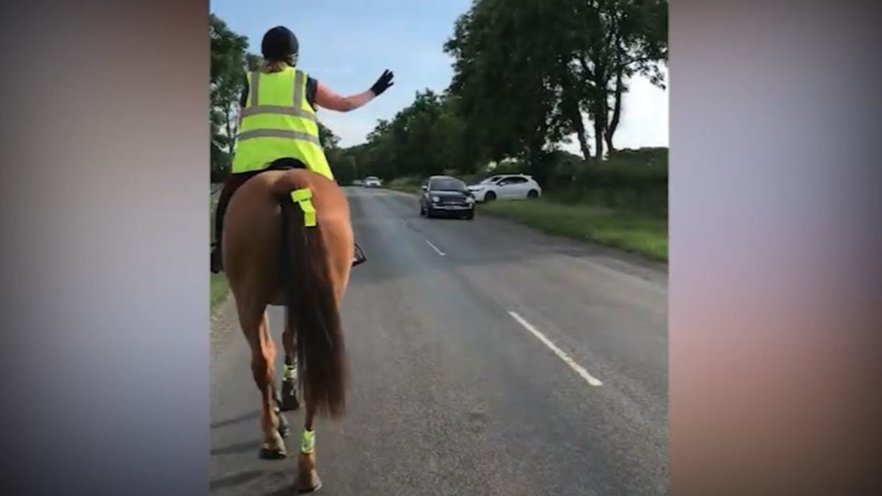 Plea for drivers to slow down near horses after near misses - YouTube