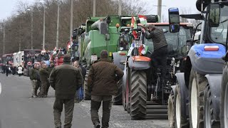 Colère des agriculteurs à travers l'Europe : la mobilisation se poursuit