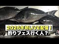 釣り人集まれー！釣りフェス行く人？