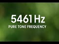 5461 HZ FREQUENCY PURE TONE 1 HOUR ЧАС 