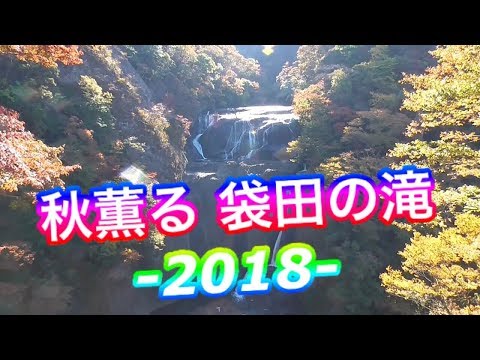 紅葉スポット【袋田の滝】2018