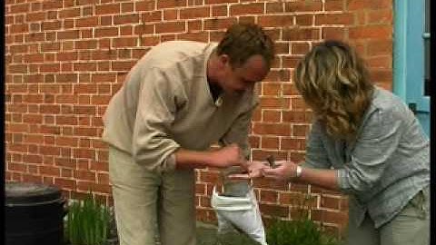 Can-O-Worms Part 1a, Set-up