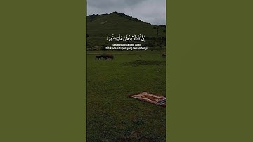 قرآن كريم بصوت #عبدالرحمن_مسعد #quran #قرآن #fypシ゚viral #fyp #اكسبلور #explore
