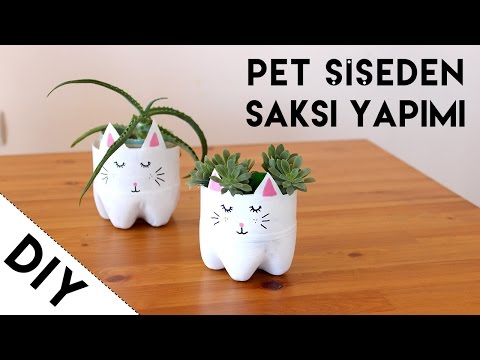Pet Şişeden Kedi